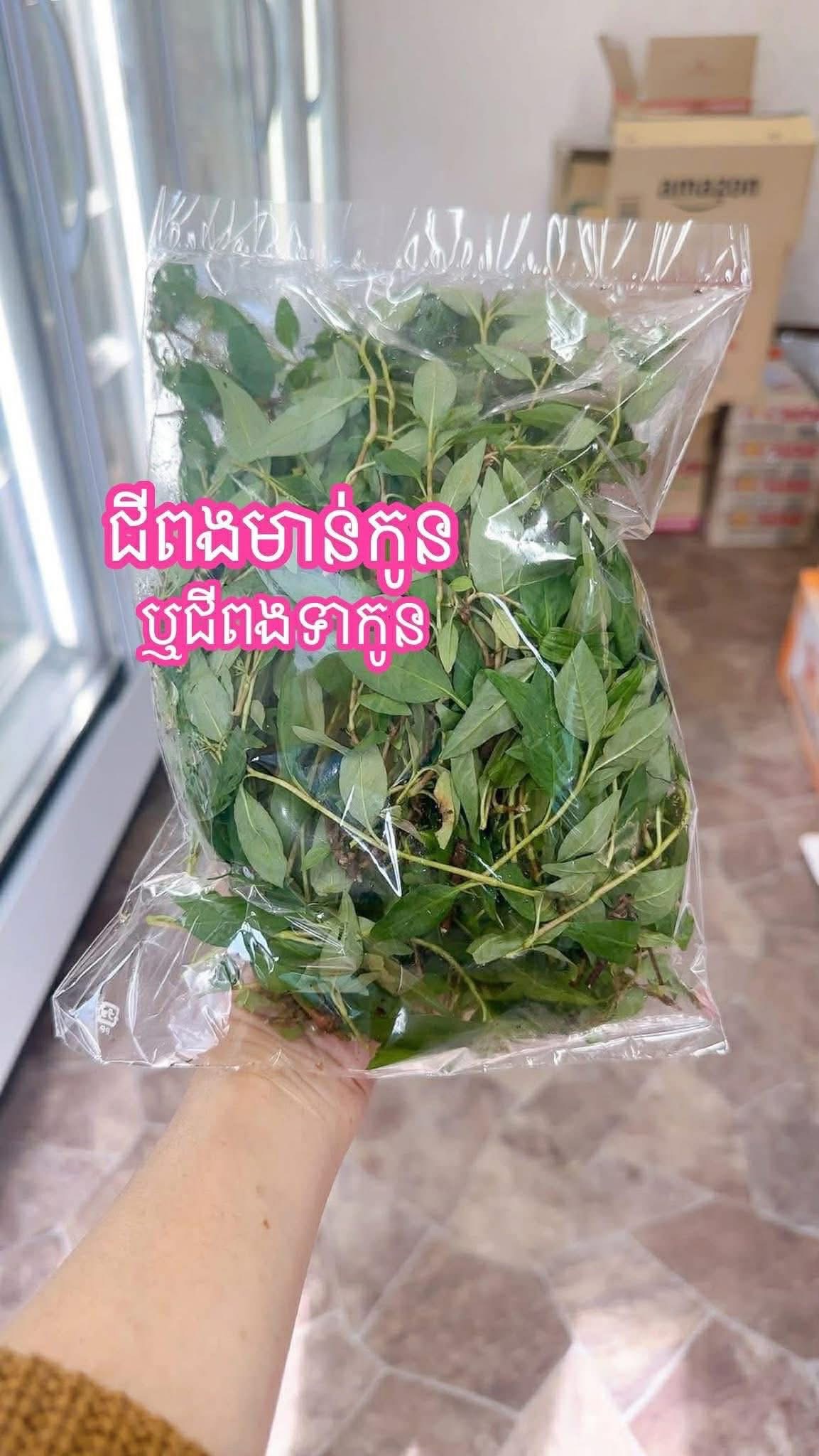 ជីពងមាន់កូន
