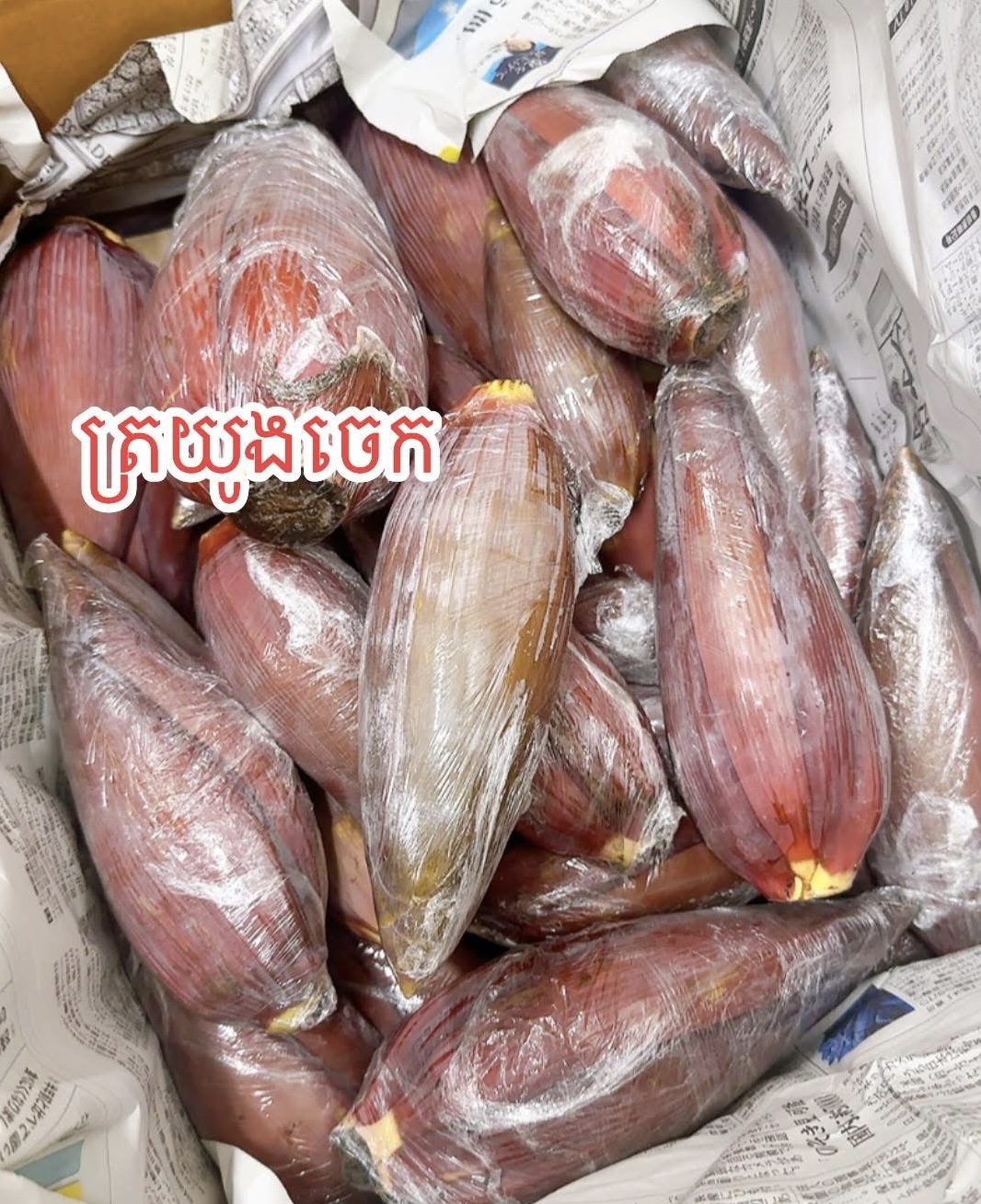 ត្រយូងចេក