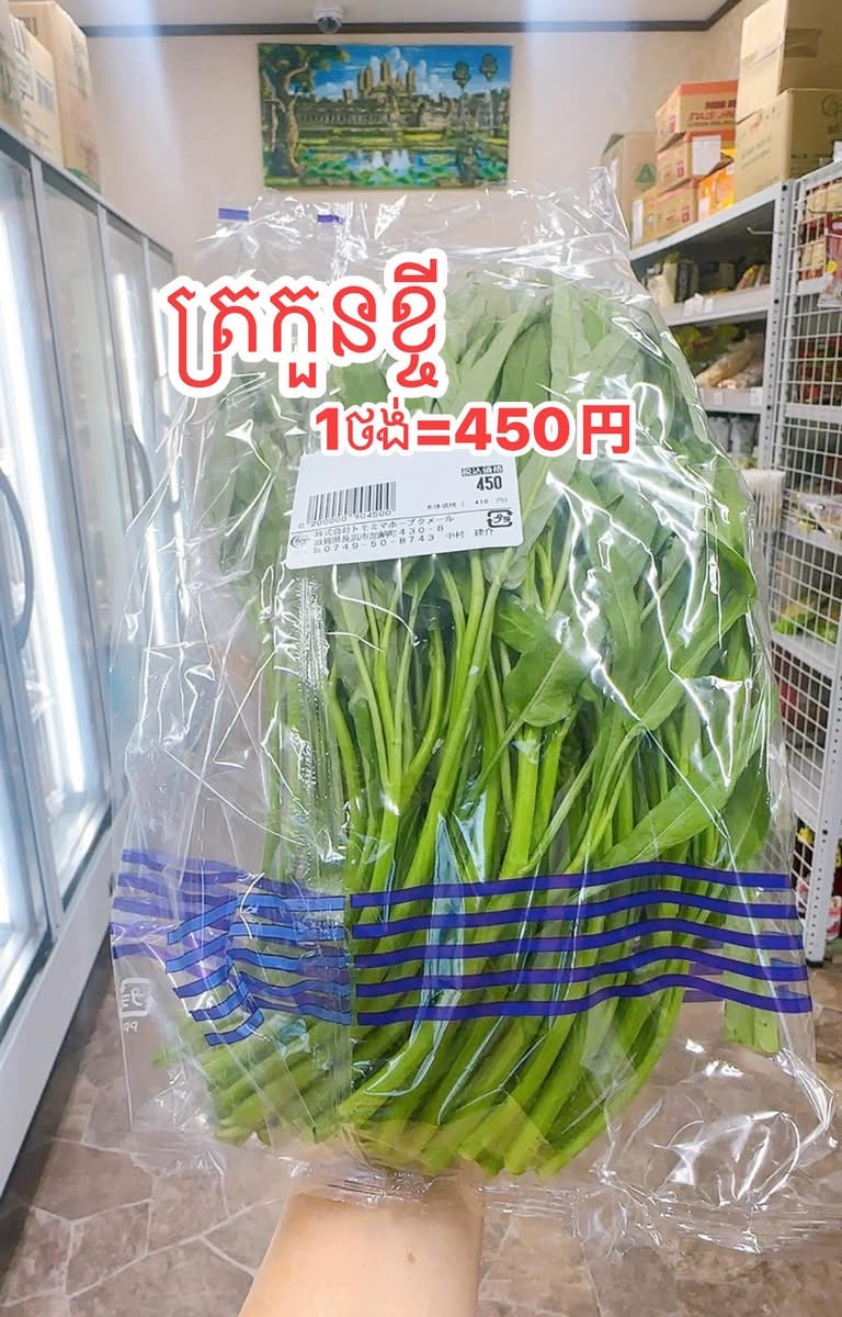 ត្រកួន