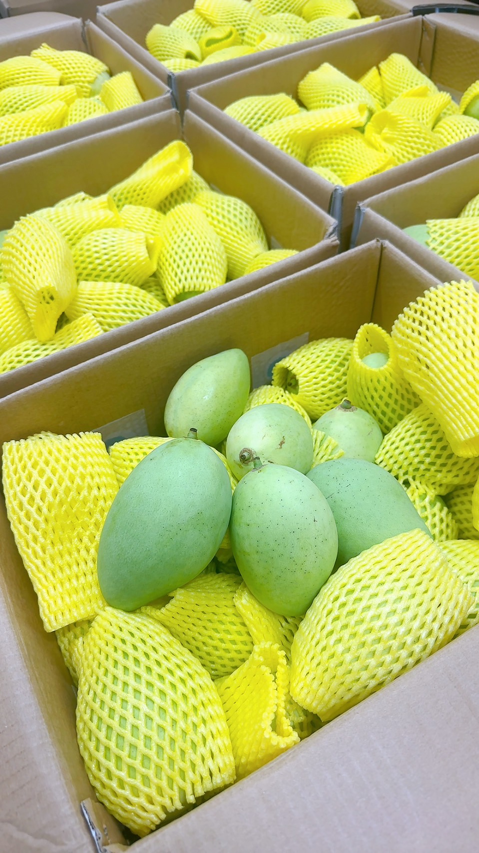 ស្វាយធំ