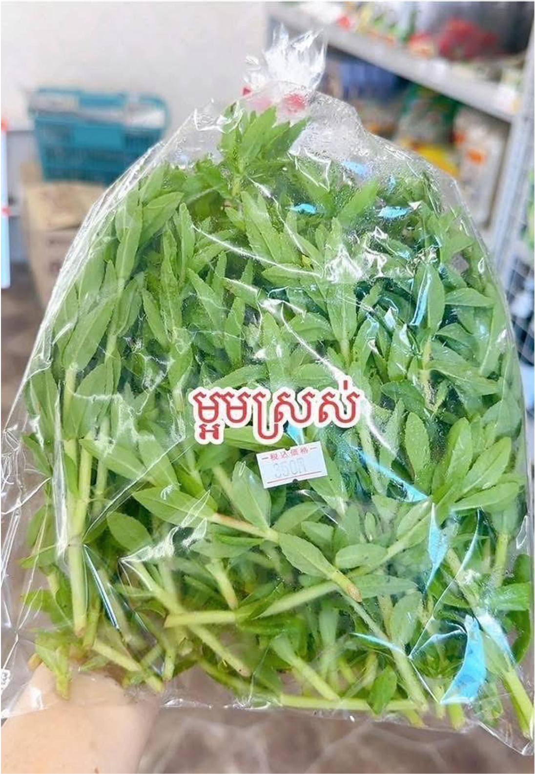 ម្អមស្រស់