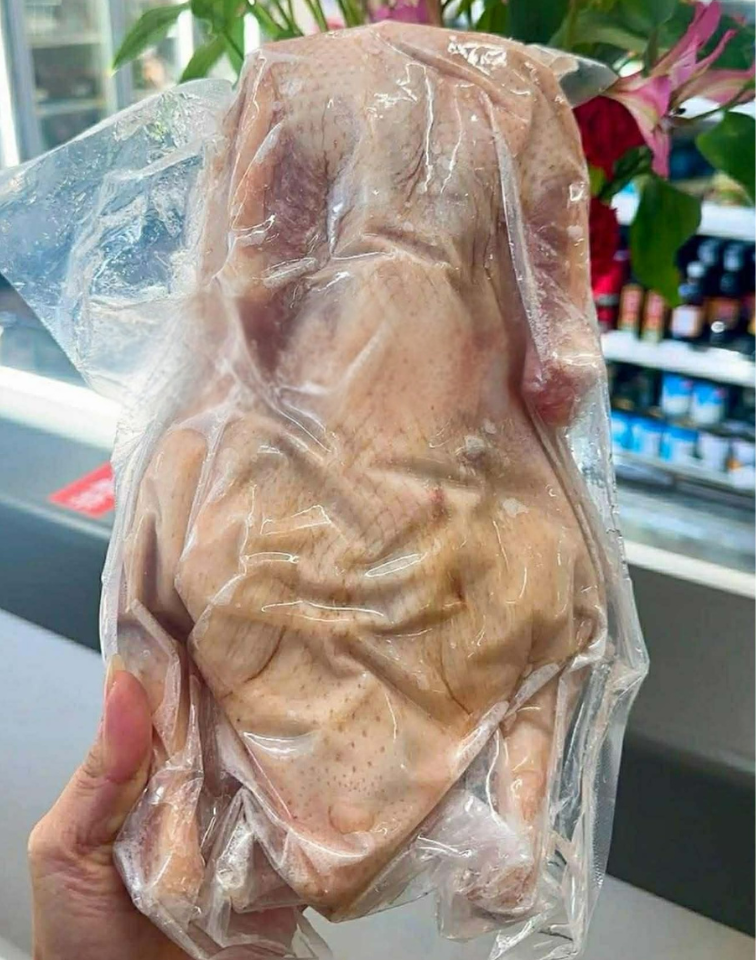 ទាមូល