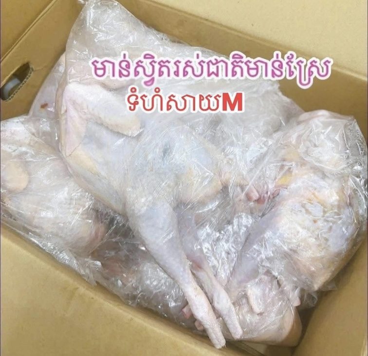 មាន់ស្វិតរស់ជាតិមាន់ស្រែ（M）