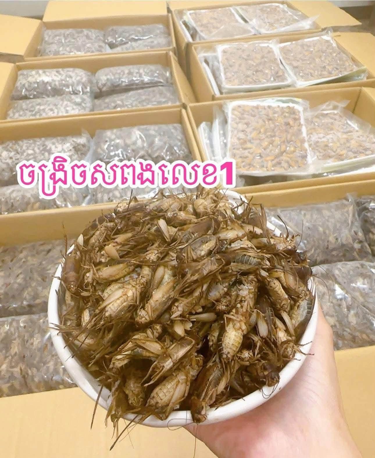 ចង្រិតសពង（1គីឡូ  ）