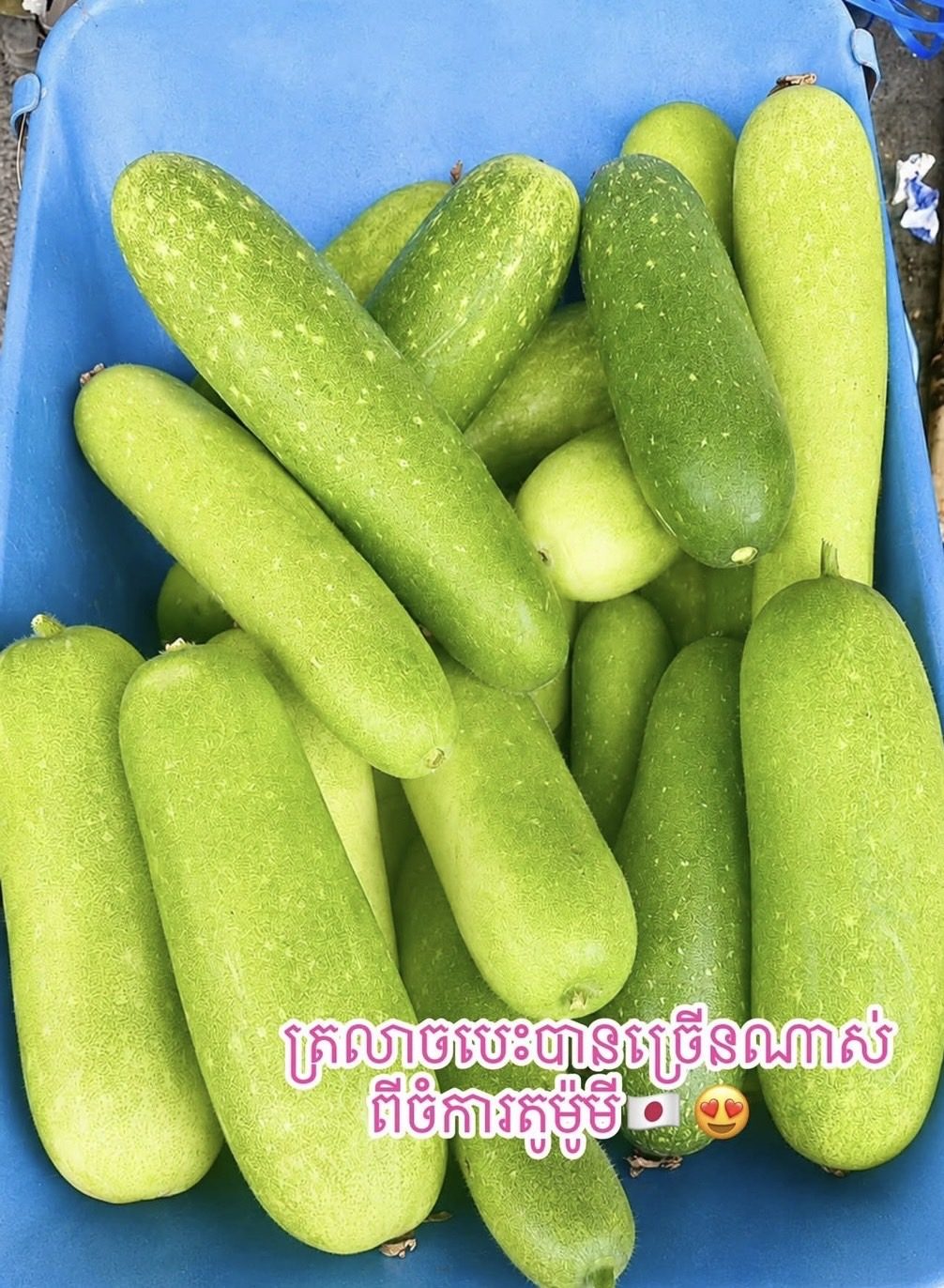 ផ្លែត្រឡាច