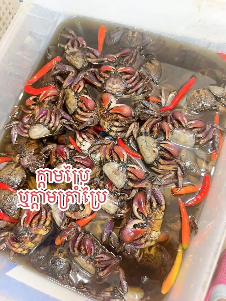 ក្តាមប្រៃឬក្តាមត្រាំប្រៃ(1ថង់មាន6ក្បាល) gallery