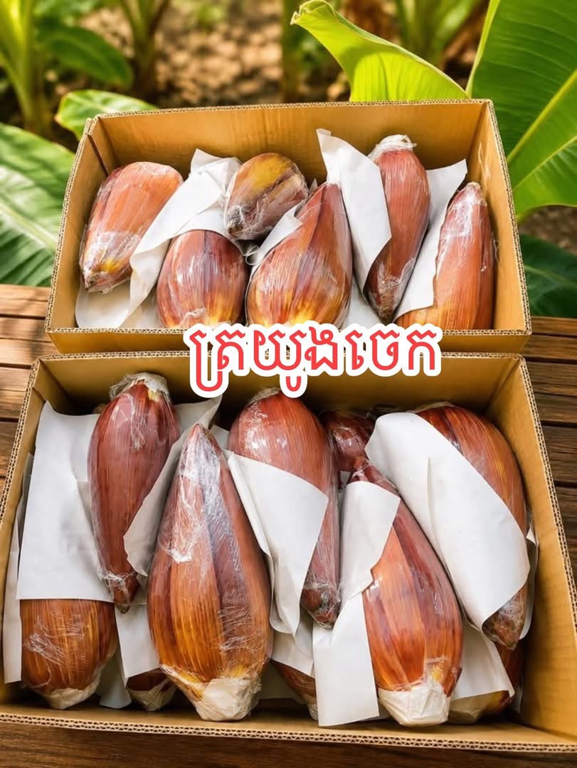 ត្រយោងចេក