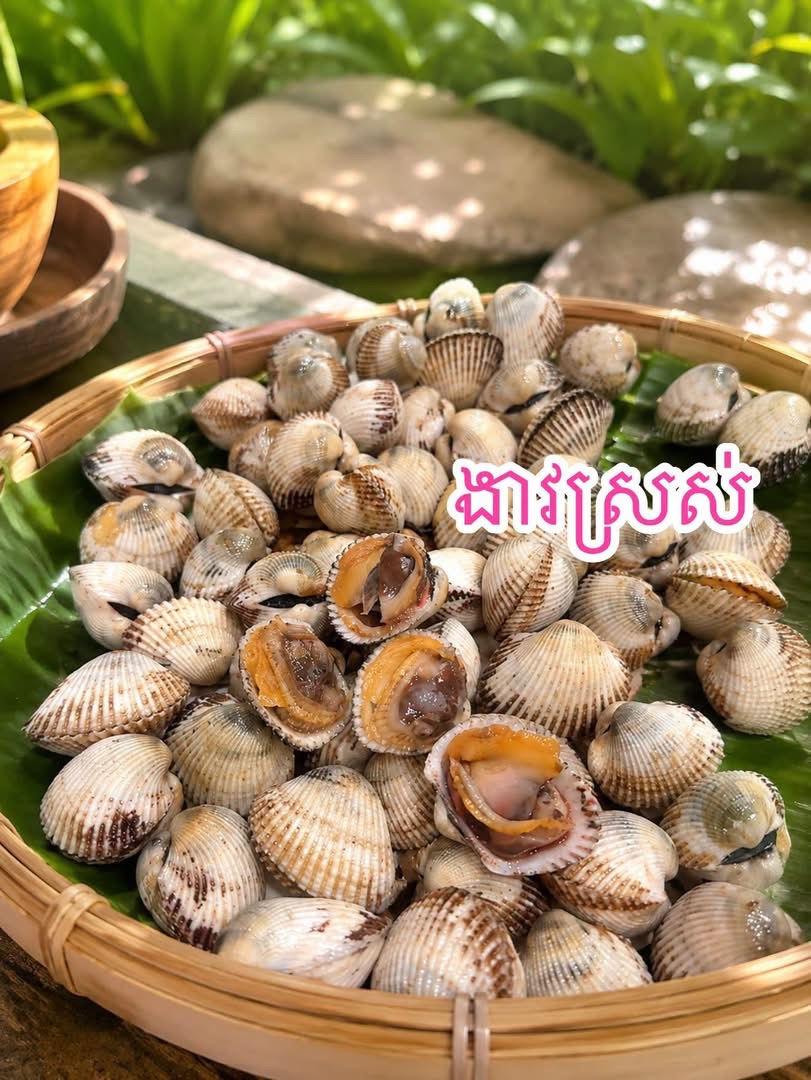 ងាវស្រស់