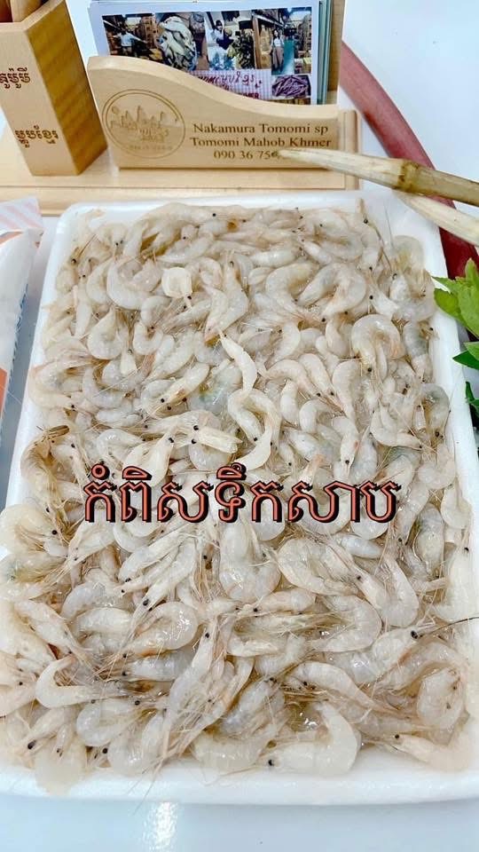 កំពិសទឹកសាប