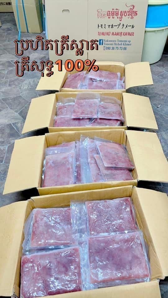 ប្រហិតត្រីស្លាត