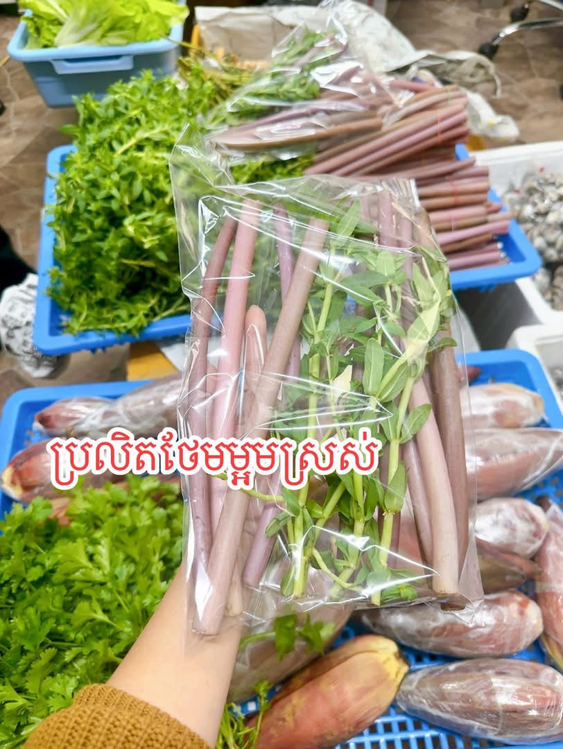 ប្រលិតស្រស់