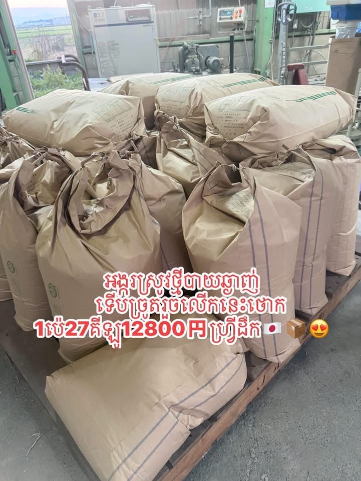 អង្ករសរស្រូវថ្មីNihonbare(1ប៉េ27គីឡូ)
