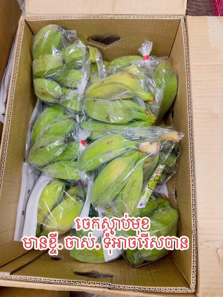ចេកស្នាមុខ gallery