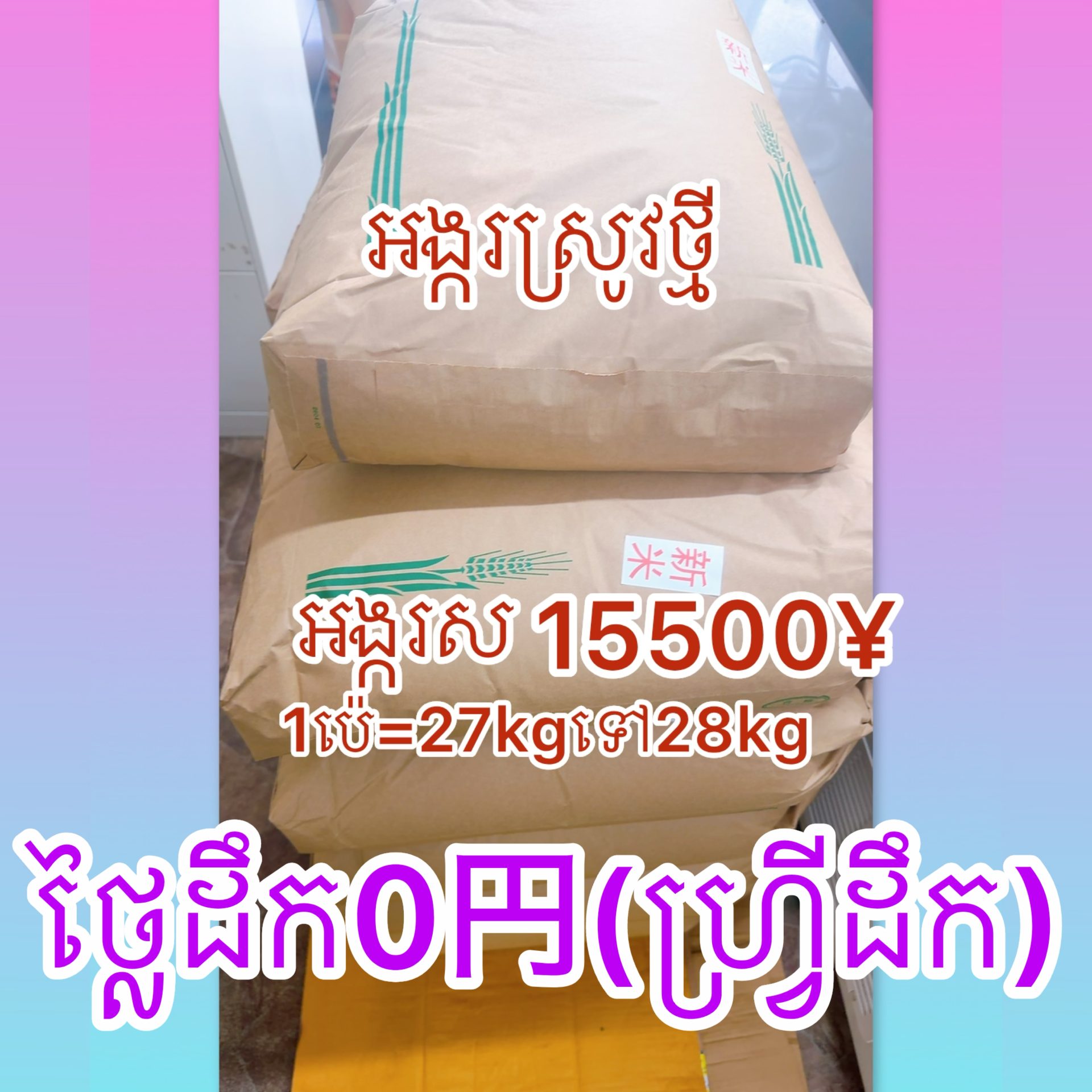 អង្ករស្រូវថ្មី(អង្ករសコシヒカリ)